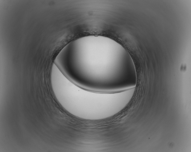 X0000091500697200708161234