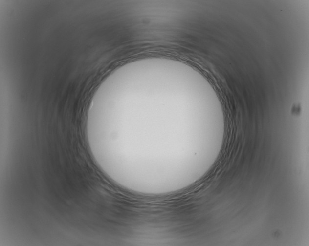X0000091500701200708161234
