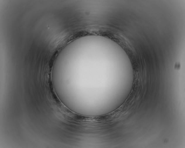 X0000091500702200708161234