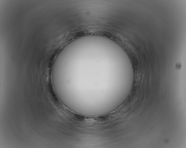 X0000091500703200708161234