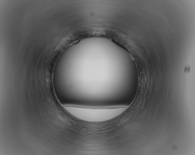 X0000091500704200708161234