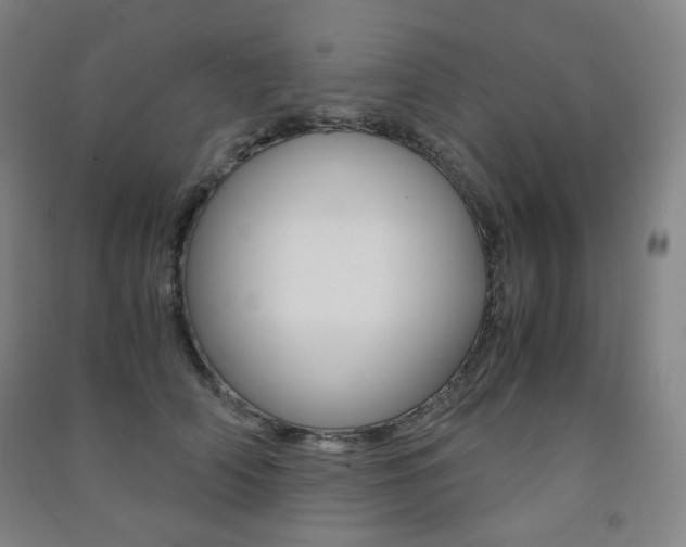X0000091500706200708161234