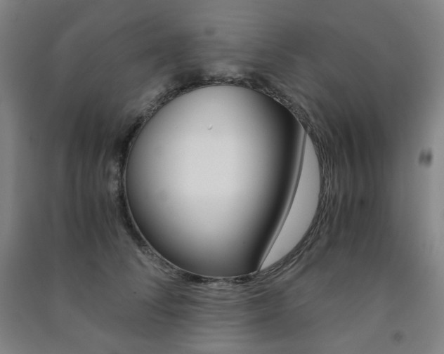 X0000091500708200708161234