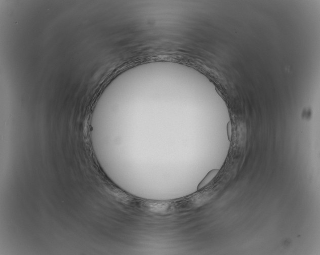 X0000091500709200708161234