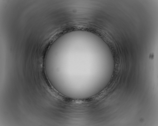 X0000091500710200708161234