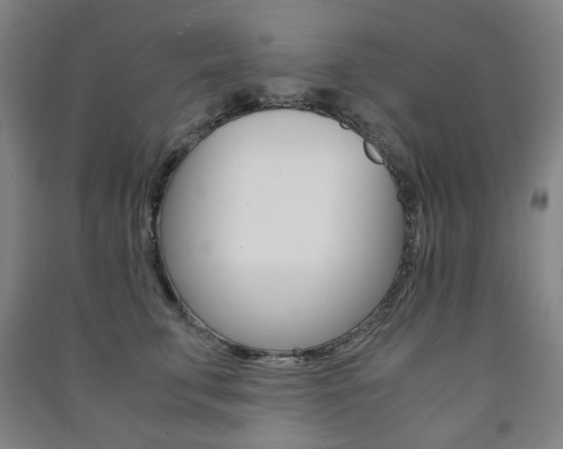 X0000091500711200708161234