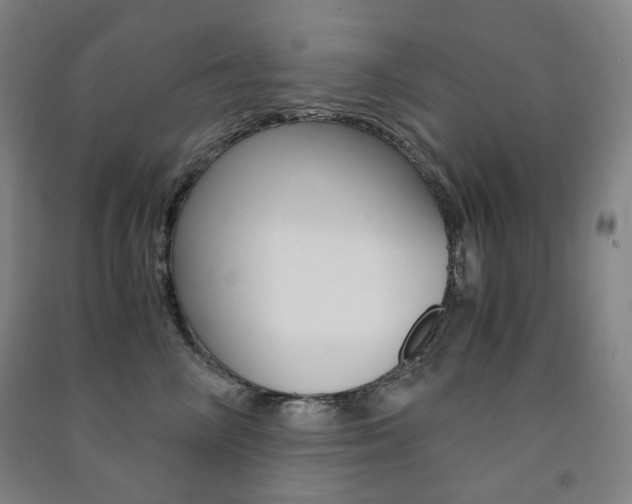 X0000091500714200708161234