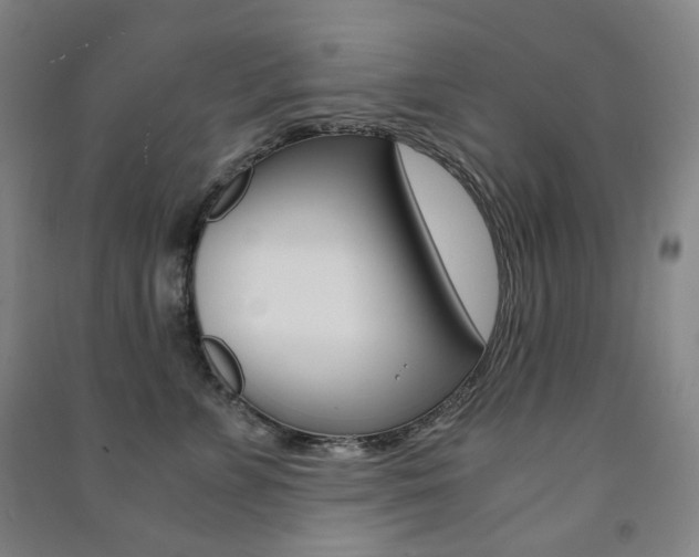 X0000091500715200708161234