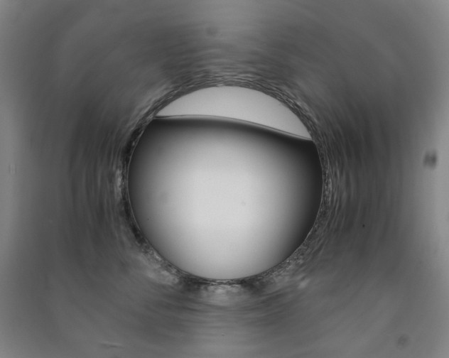 X0000091500716200708161234