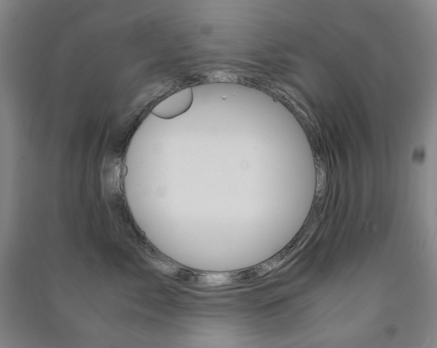 X0000091500717200708161234