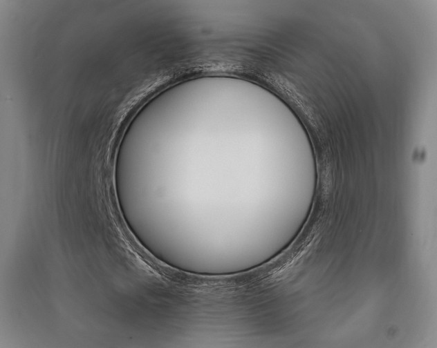 X0000091500721200708161233