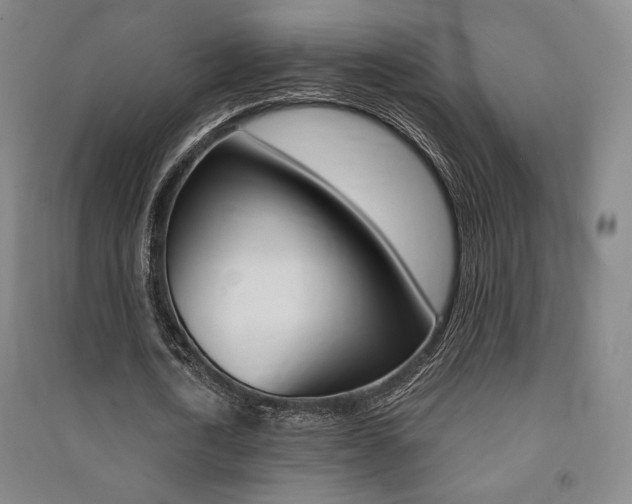 X0000091500722200708161233