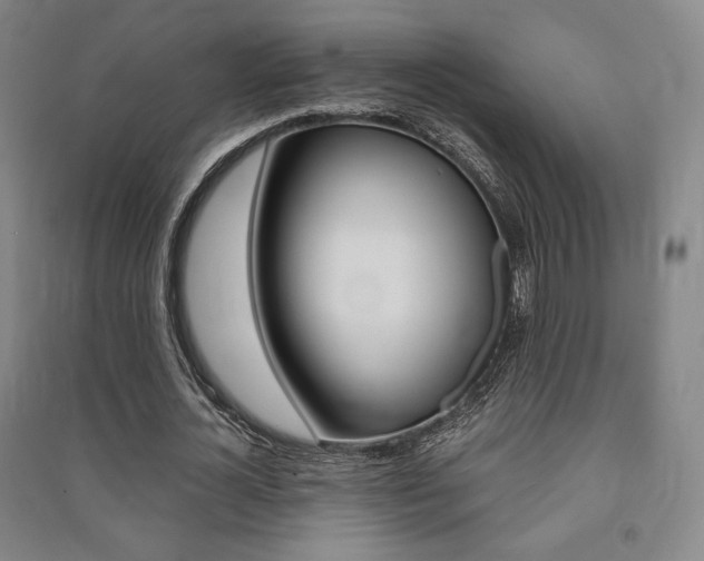 X0000091500724200708161233