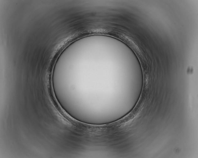 X0000091500725200708161233