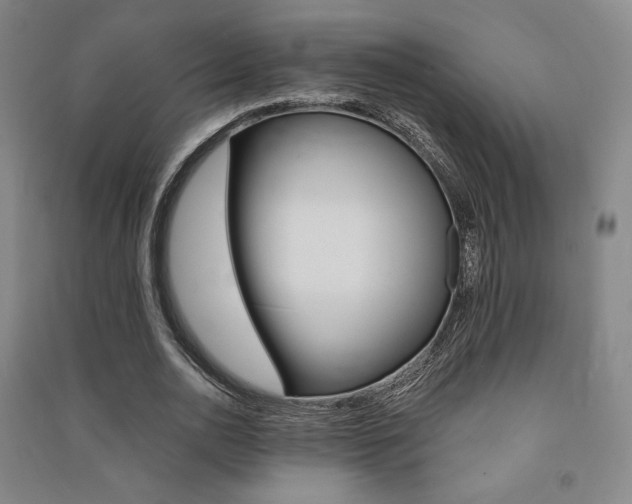 X0000091500726200708161233