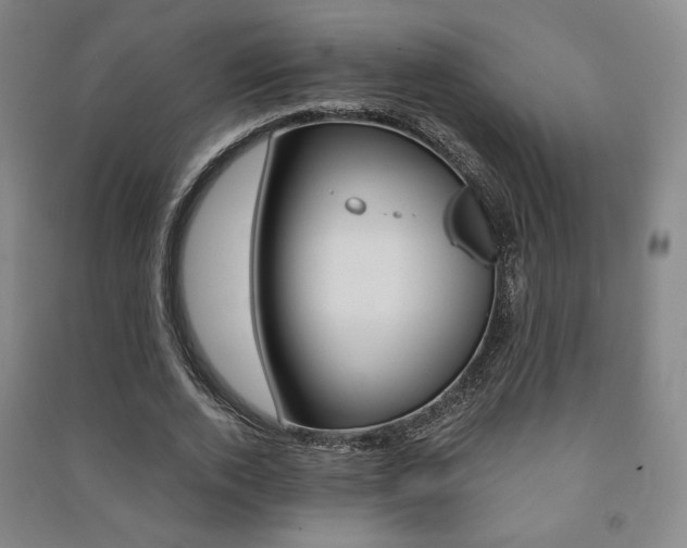 X0000091500728200708161233