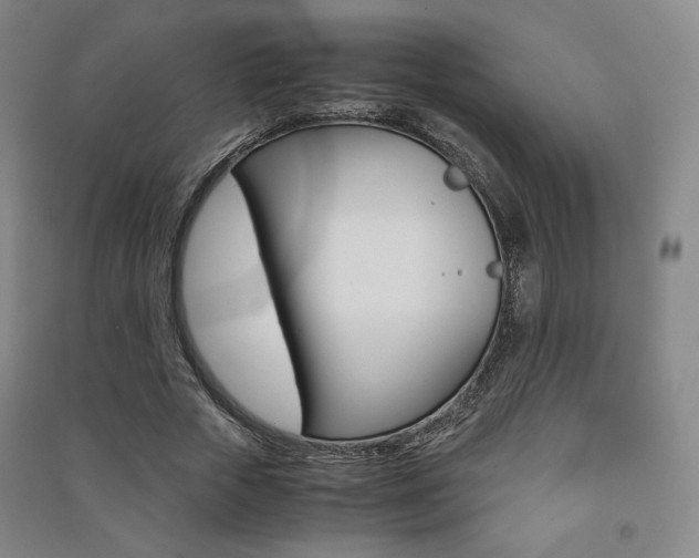 X0000091500729200708161233
