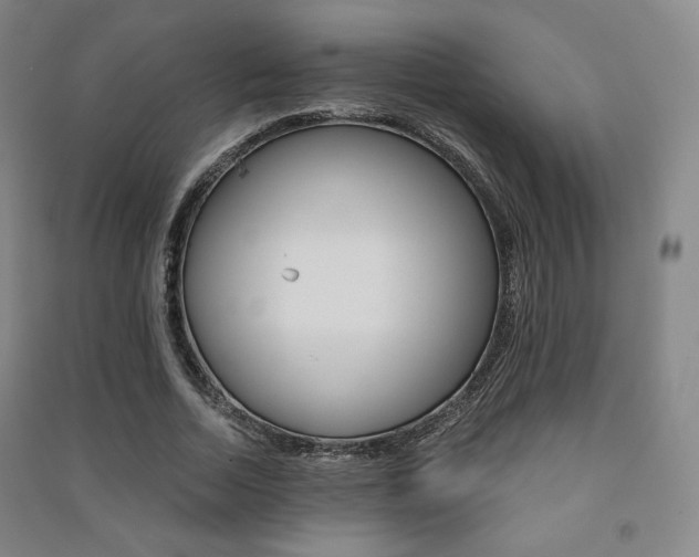 X0000091500730200708161233