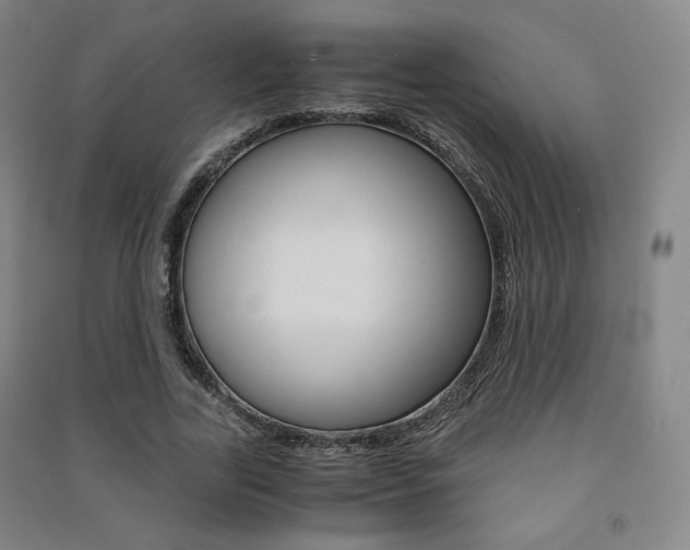 X0000091500731200708161233
