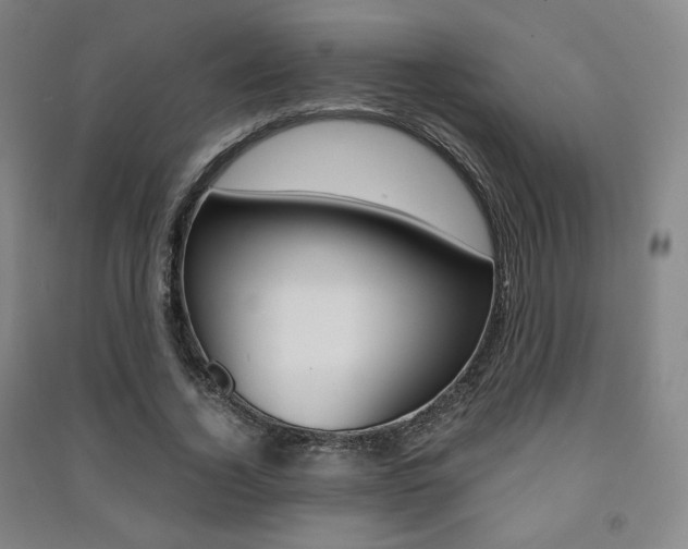 X0000091500732200708161233