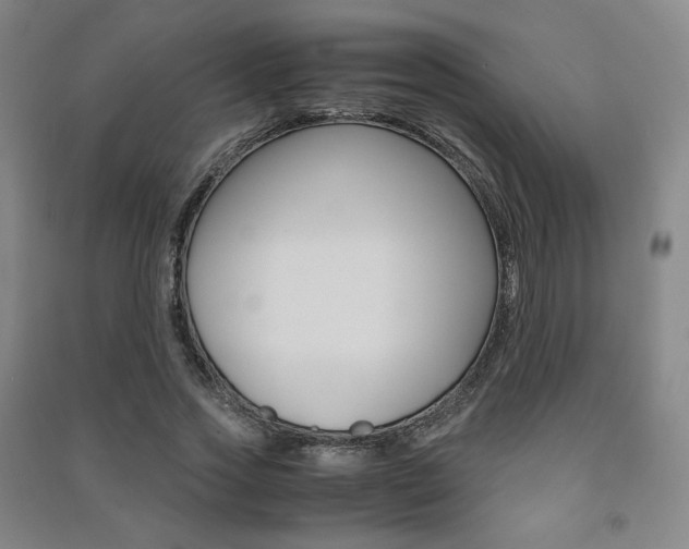 X0000091500733200708161233