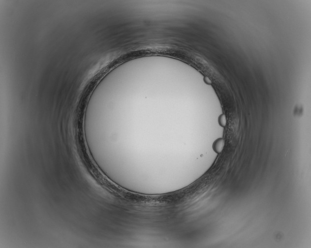 X0000091500734200708161233