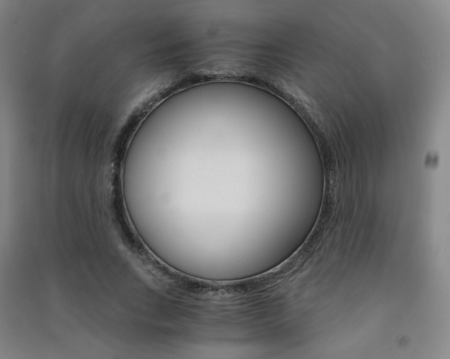 X0000091500735200708161233