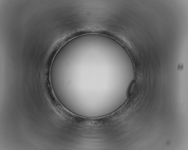 X0000091500736200708161233
