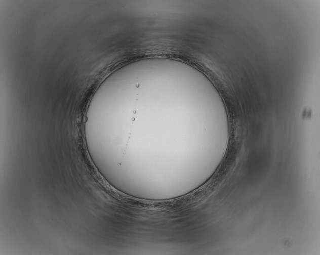 X0000091500737200708161233