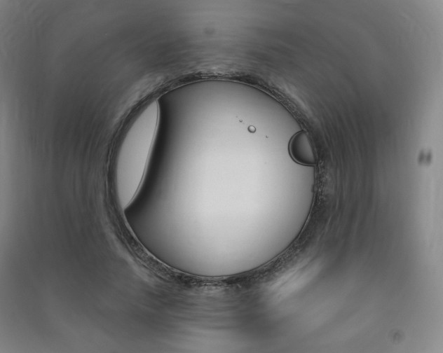X0000091500738200708161233
