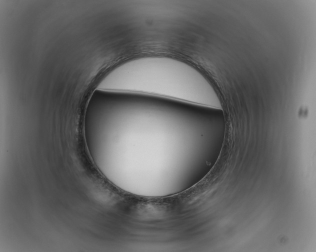 X0000091500739200708161233