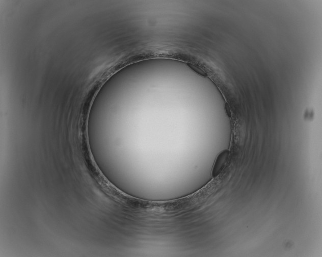 X0000091500740200708161233