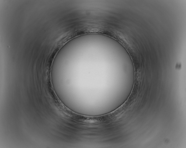 X0000091500741200708161233