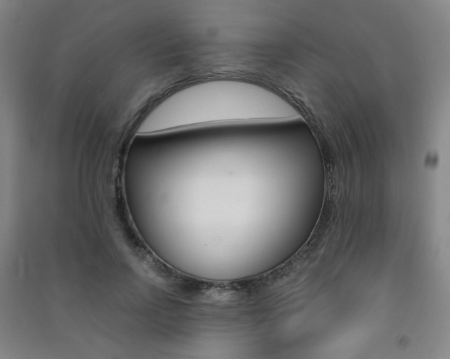 X0000091500742200708161233