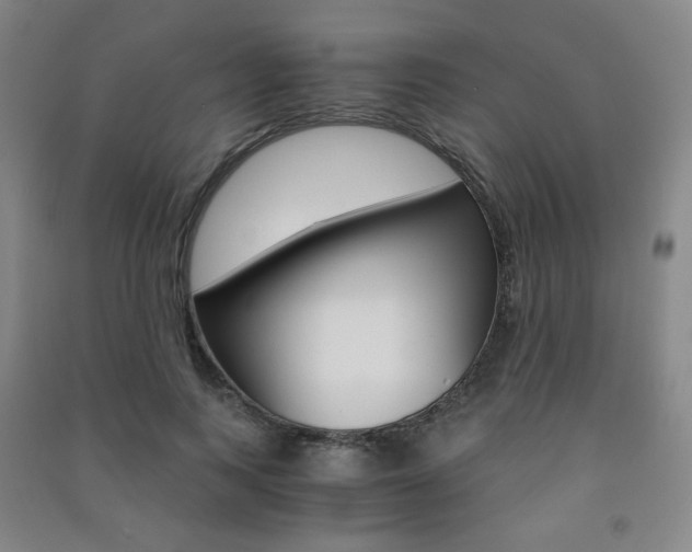 X0000091500743200708161233