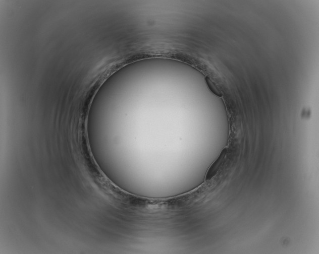 X0000091500744200708161233