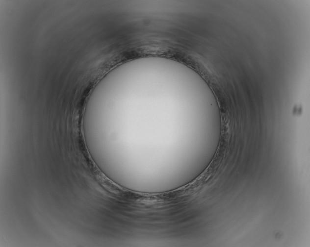 X0000091500745200708161233