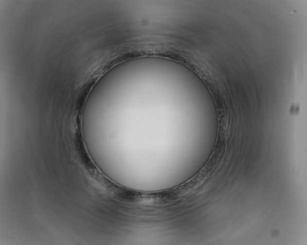 X0000091500746200708161233