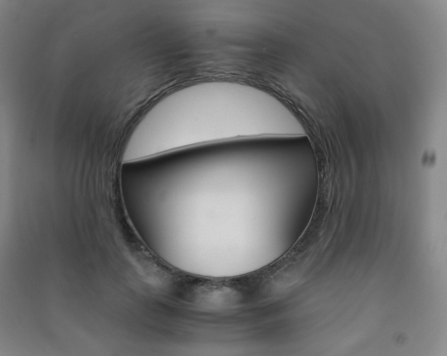 X0000091500747200708161233