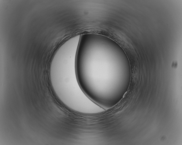 X0000091500748200708161233