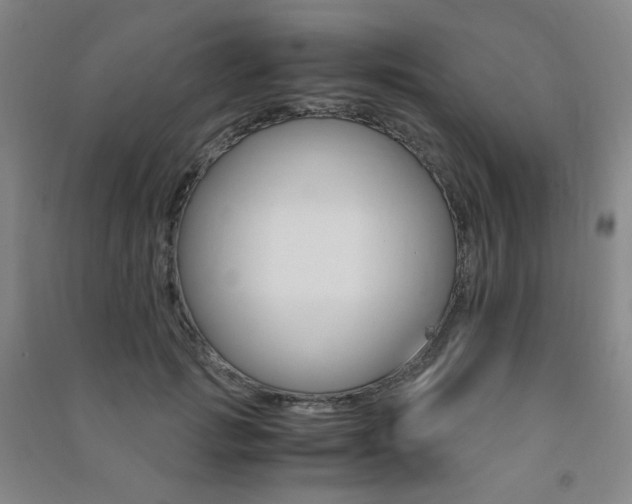 X0000091500749200708161233