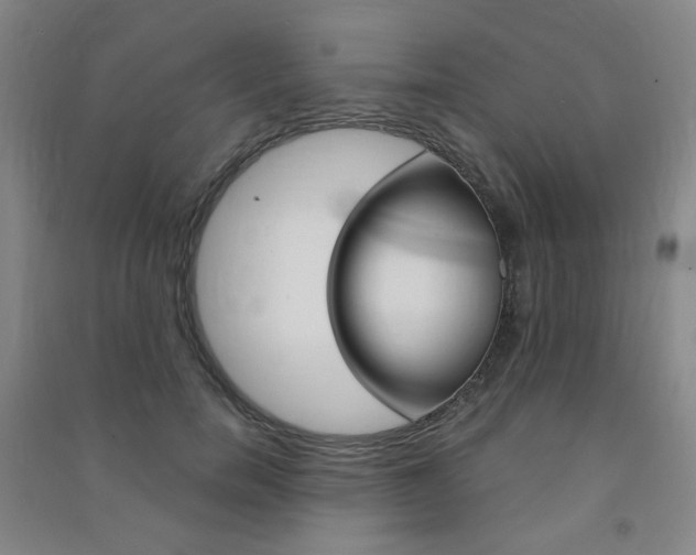 X0000091500750200708161233