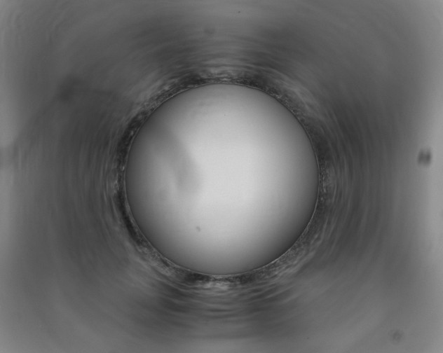 X0000091500751200708161233