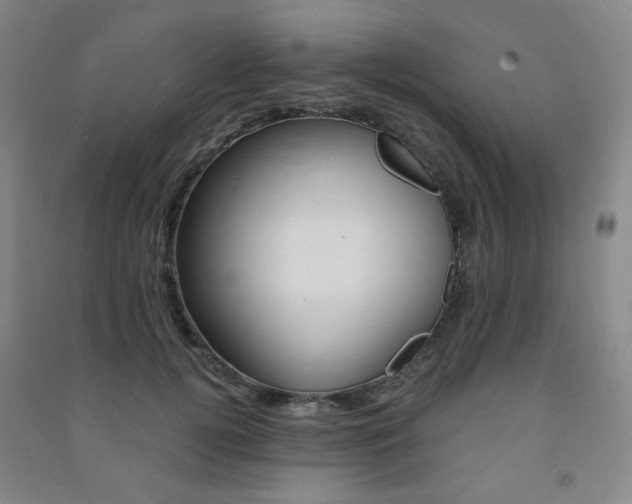 X0000091500752200708161233