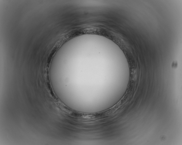 X0000091500753200708161233
