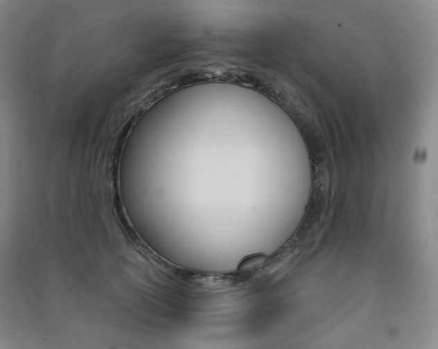 X0000091500754200708161233
