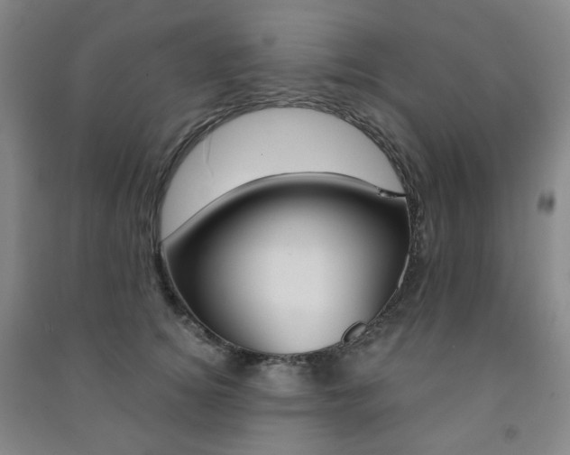 X0000091500756200708161233