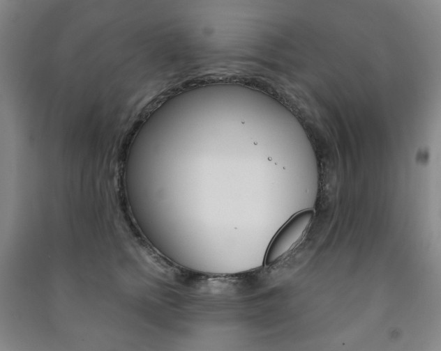 X0000091500758200708161233