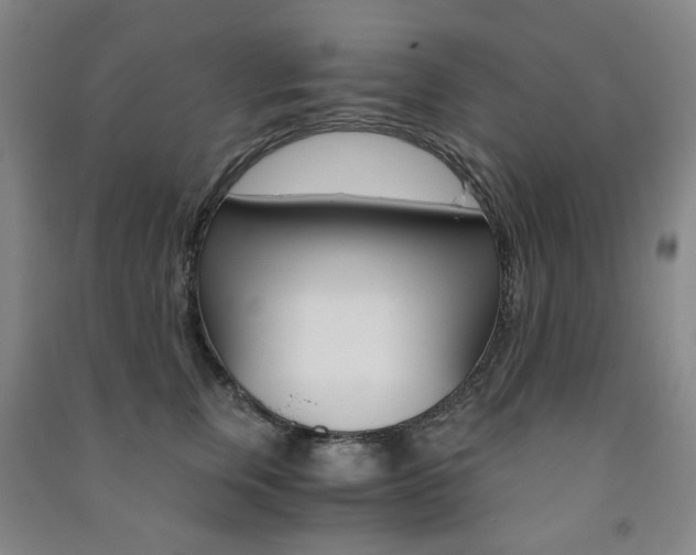 X0000091500759200708161233
