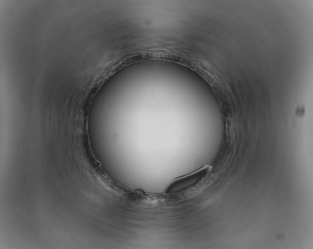 X0000091500760200708161233